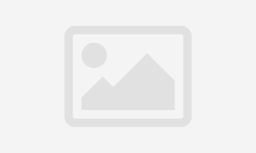 Strategy law and Organization Foundation