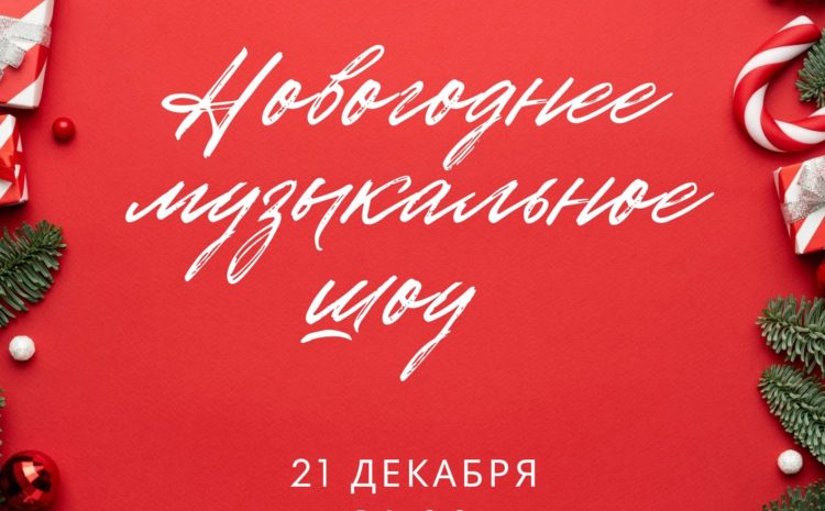  Новогоднее музыкальное шоу