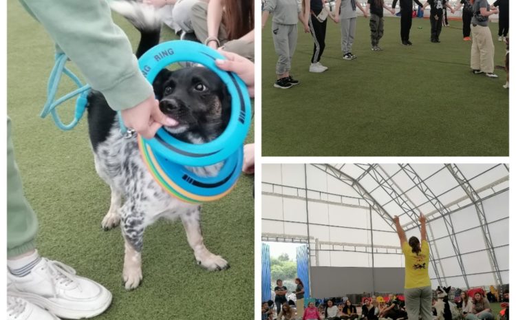  Первое практическое занятие у студентов-кинологов 🐕