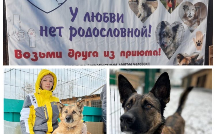  Благотворительность!