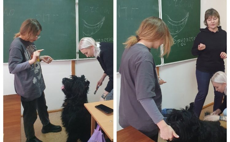  Будни студентов-кинологов 