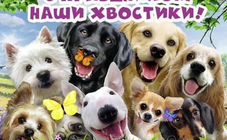  МЕЖДУНАРОДНЫЙ ДЕНЬ СОБАК