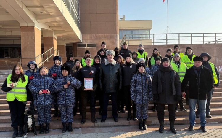 Добровольная молодежная дружина