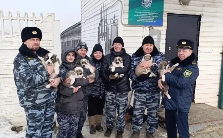  Практическая подготовка