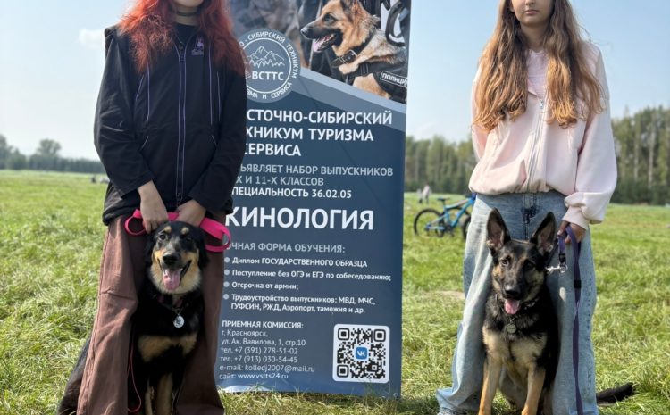  «День фронтовой собаки»